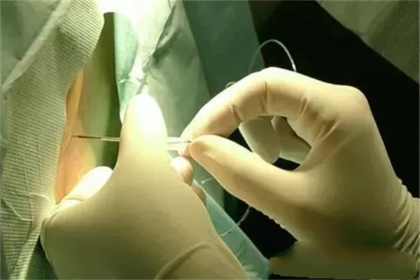 圖片2.png 圖片2.png