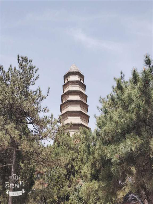 圖片3.png 圖片3.png