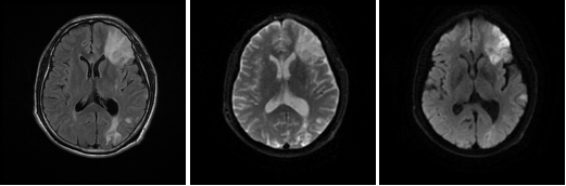 圖片5.png 圖片5.png