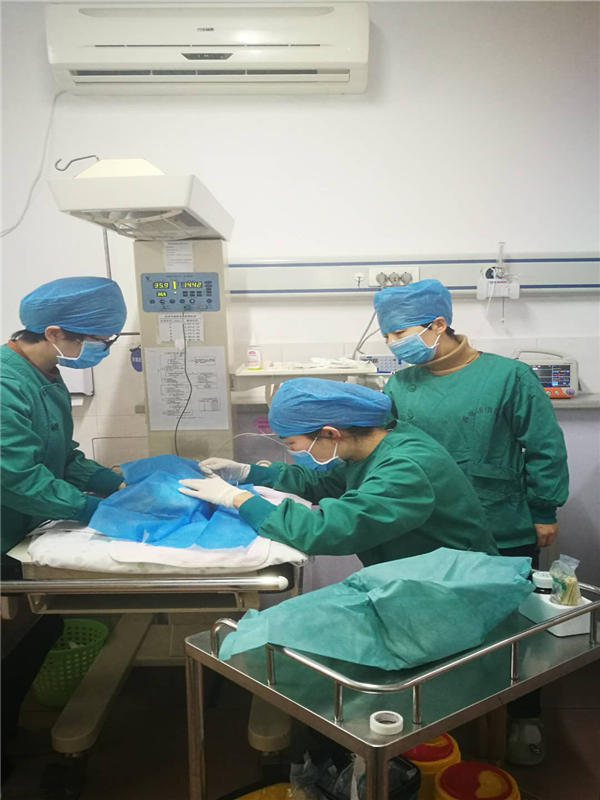 圖片1.png 圖片1.png