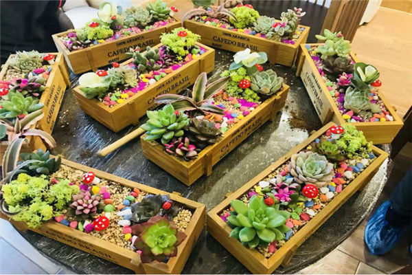 圖片1.png 圖片1.png