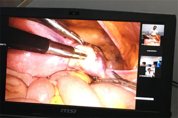 圖片2.png 圖片2.png