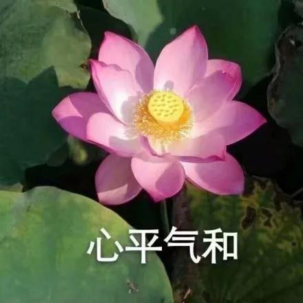 圖片5.png