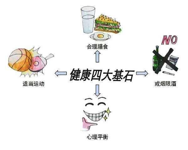 e4dde71190ef76c6c566d0b98d4506ffae516740.jpeg