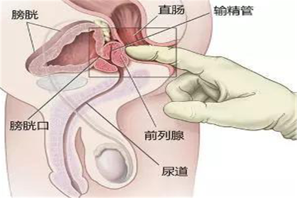 圖片1.png