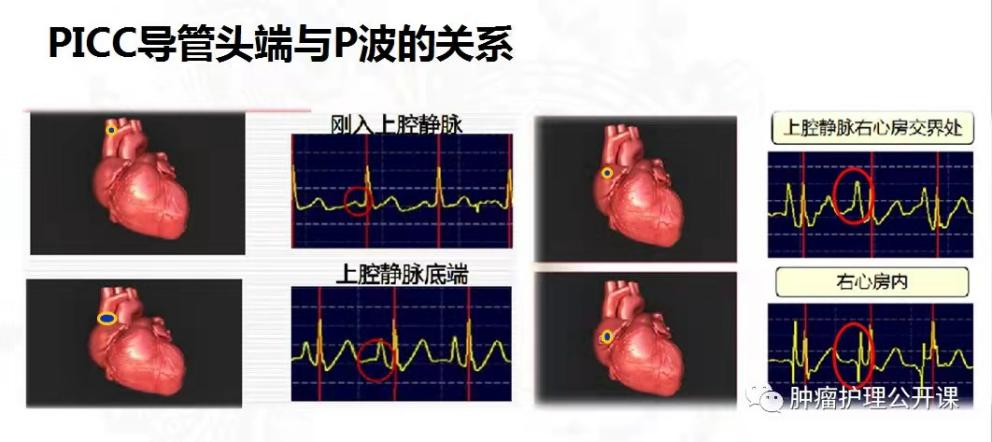 圖片2.png
