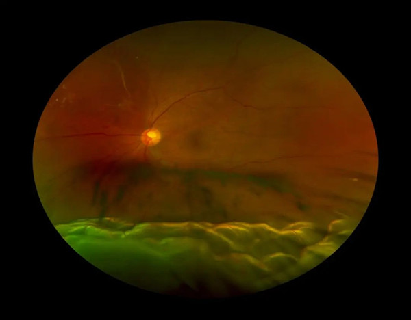 640 (1)_副本.jpg 640 (1)_副本.jpg