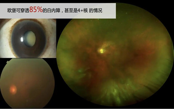 640 (7)_副本.jpg 640 (7)_副本.jpg