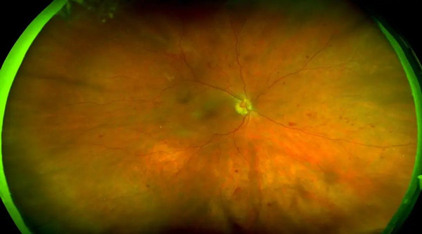 640 (8)_副本.jpg 640 (8)_副本.jpg