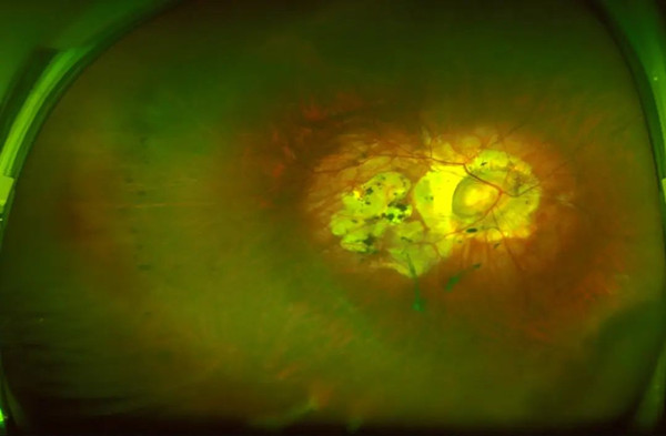 640 (9)_副本.jpg 640 (9)_副本.jpg