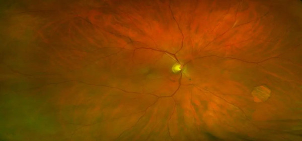 640 (10)_副本.jpg 640 (10)_副本.jpg