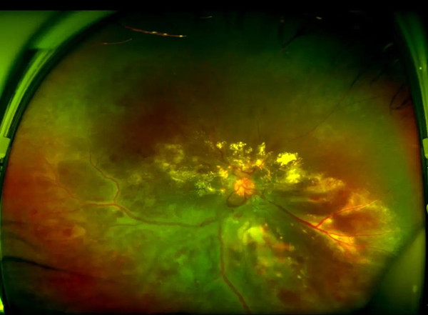 640 (11)_副本.jpg 640 (11)_副本.jpg