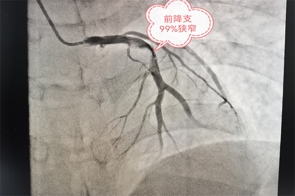 圖片2.jpg 圖片2.jpg