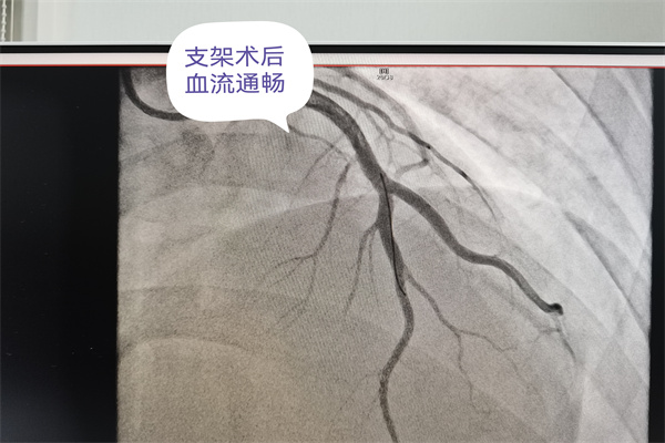 圖片3.jpg 圖片3.jpg