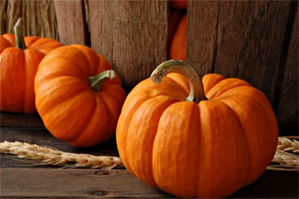 圖片4.jpg 圖片4.jpg