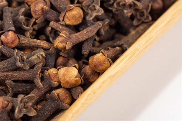 圖片5.jpg 圖片5.jpg