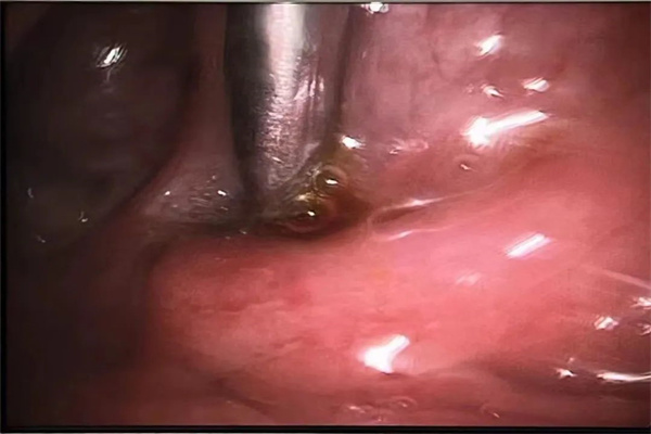 圖片2.jpg 圖片2.jpg