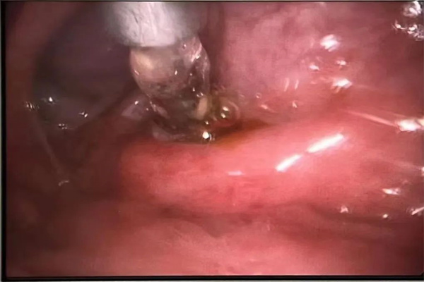 圖片3.jpg 圖片3.jpg