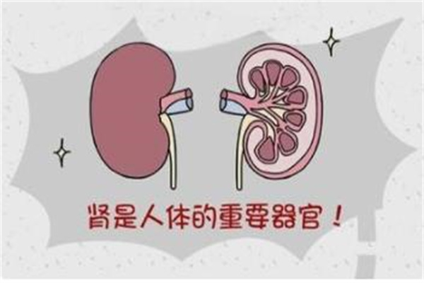 圖片2.jpg 圖片2.jpg