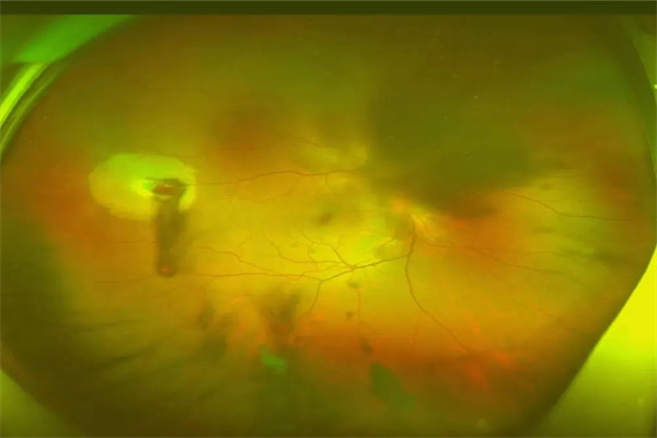 640 (1).jpg 640 (1).jpg