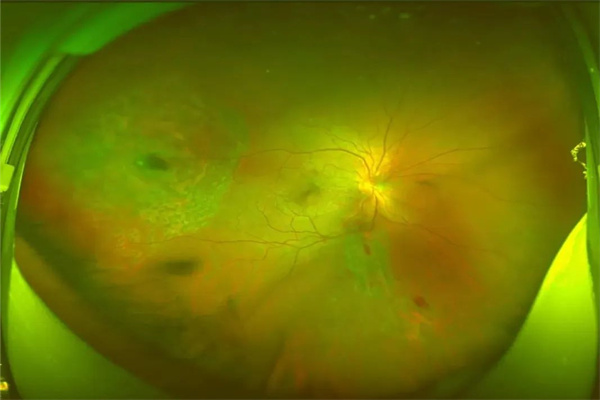 640 (3).jpg 640 (3).jpg