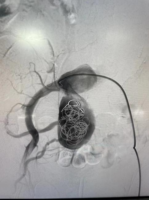 640 (1).png 640 (1).png