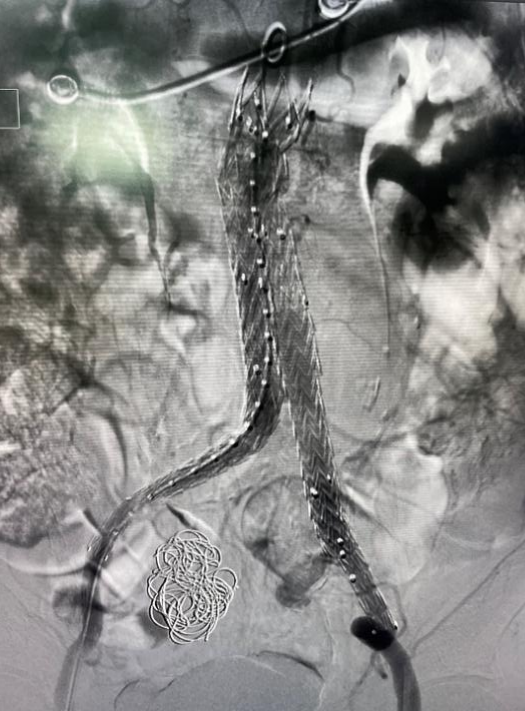 640 (3).png 640 (3).png