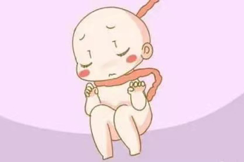 640 (3).png 640 (3).png