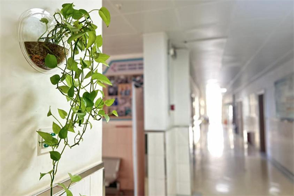 640 (9).png 640 (9).png