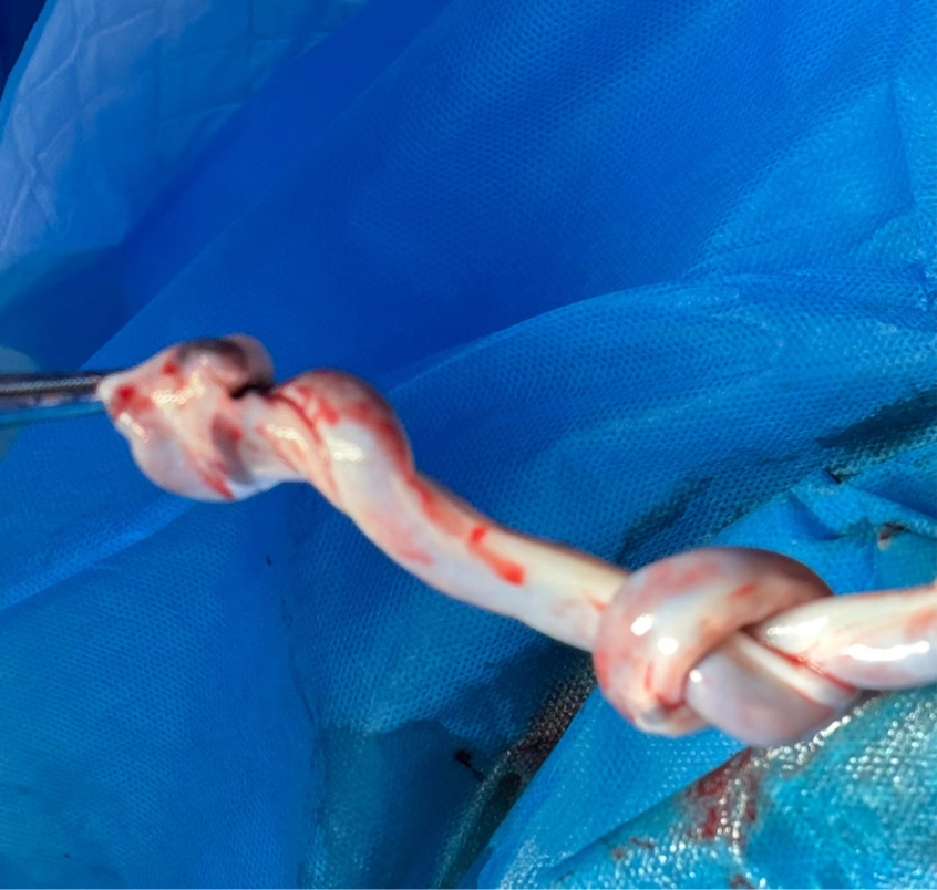 640 (7).png 640 (7).png