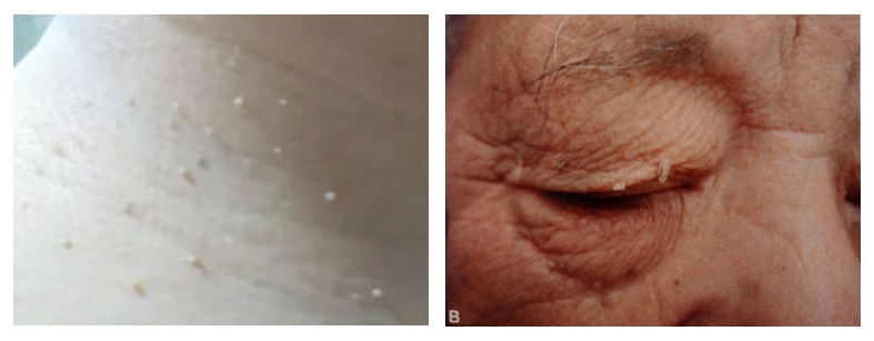 微信截圖_20231218095747.png 微信截圖_20231218095747.png