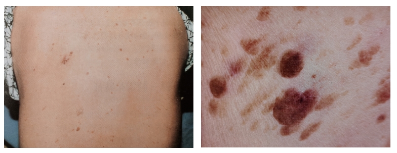 微信截圖_20231218095800.png 微信截圖_20231218095800.png