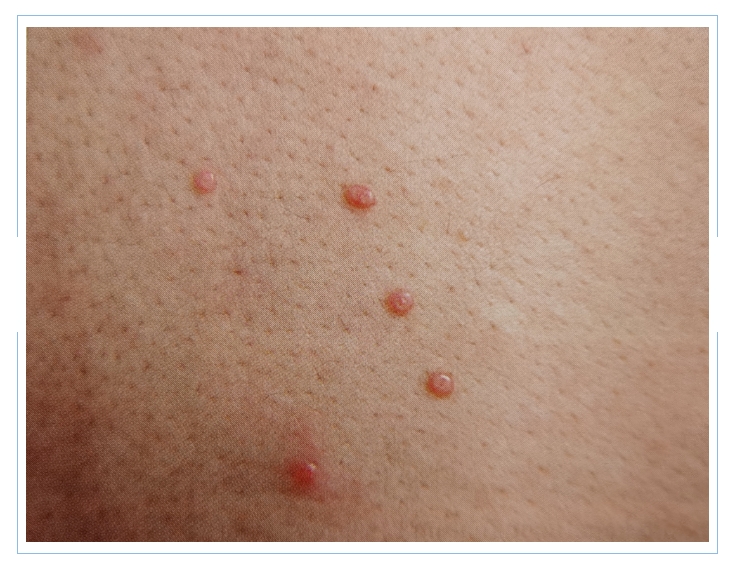 微信截圖_20231218095815.png 微信截圖_20231218095815.png