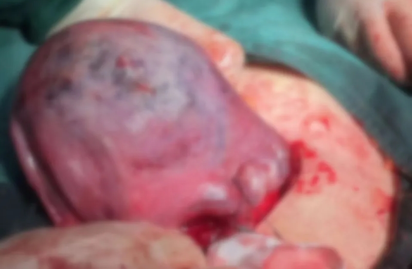 微信截圖_20240715112658.png 微信截圖_20240715112658.png